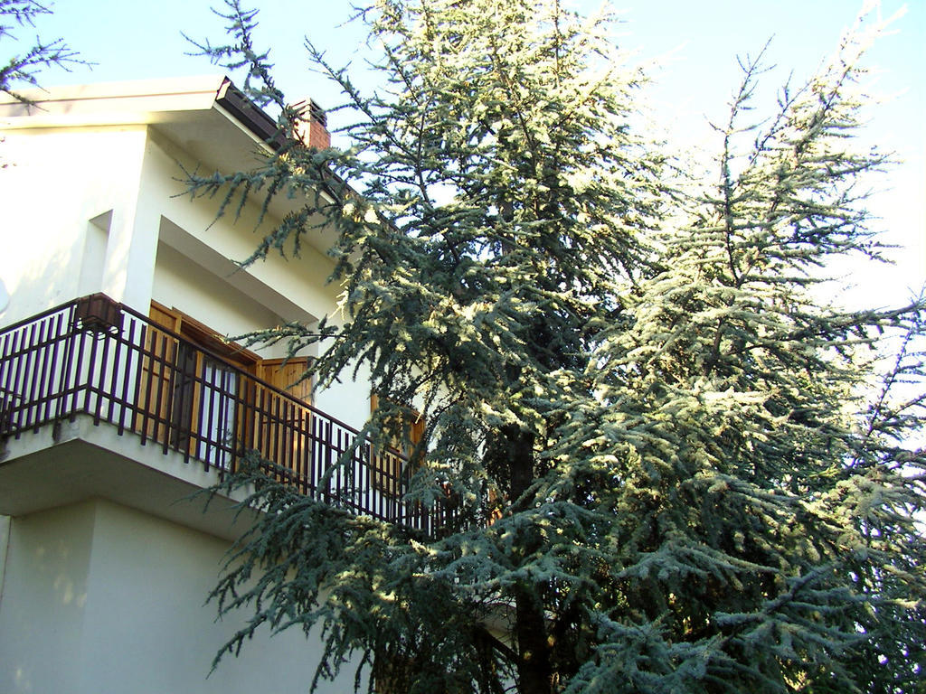 Villa Caterina B&B Pedara Εξωτερικό φωτογραφία